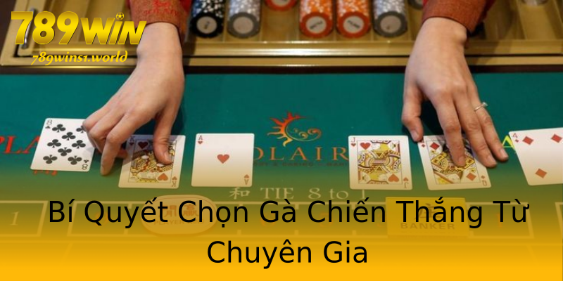 Bí Quyết Chọn Gà Chiến Thắng Từ Chuyên Gia Bí Quyết Chọn Gà Chiến Thắng Từ Chuyên Gia