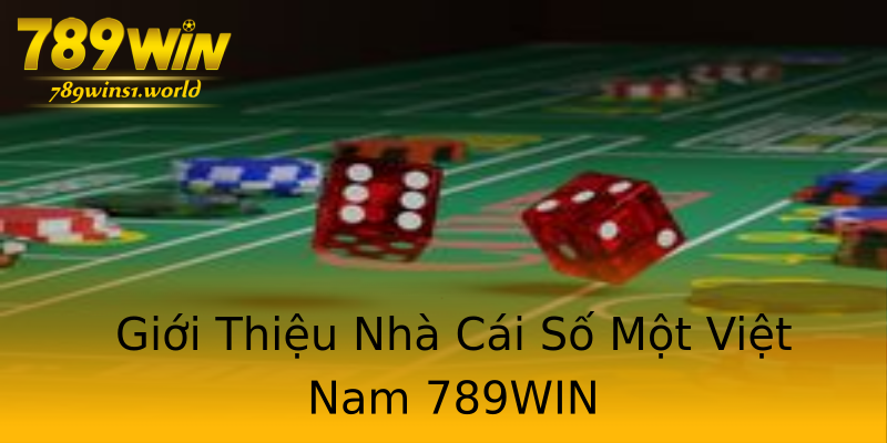 Giới Thiệu Nhà Cái Số Một Việt Nam 789WIN Giới Thiệu Nhà Cái Số Một Việt Nam 789WIN
