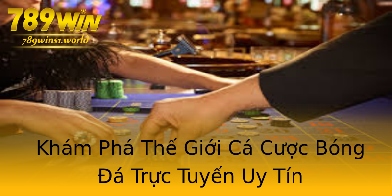 Khám Phá Thế Giới Cá Cược Bóng Đá Trực Tuyến Uy Tín Khám Phá Thế Giới Cá Cược Bóng Đá Trực Tuyến Uy Tín