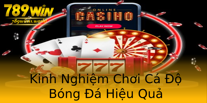 Kinh Nghiệm Chơi Cá Độ Bóng Đá Hiệu Quả Kinh Nghiệm Chơi Cá Độ Bóng Đá Hiệu Quả