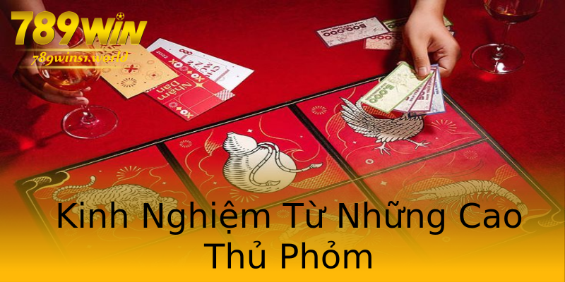 Kinh Nghiệm Từ Những Cao Thủ Phỏm Kinh Nghiệm Từ Những Cao Thủ Phỏm