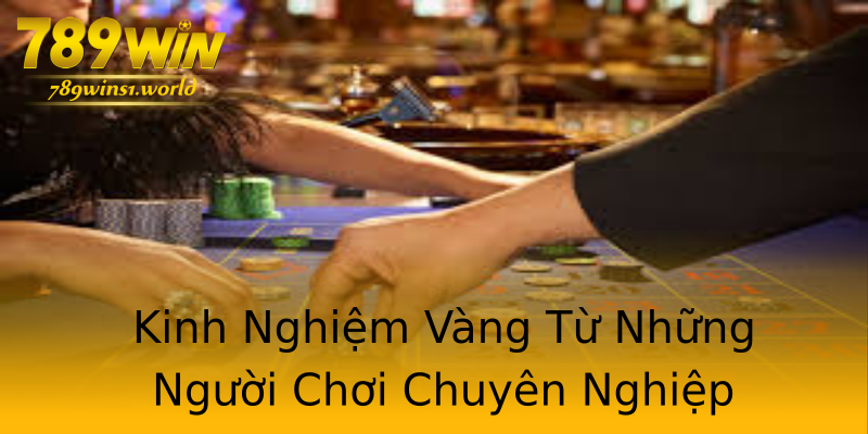 Kinh Nghiệm Vàng Từ Những Người Chơi Chuyên Nghiệp Kinh Nghiệm Vàng Từ Những Người Chơi Chuyên Nghiệp
